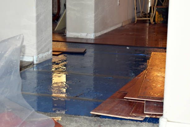Professional Basement Flood Cleanup technician working in Eagle Lake, FL